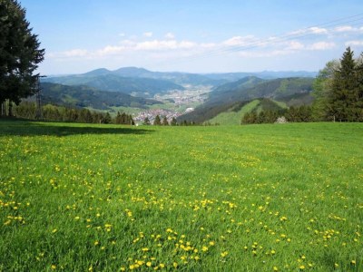 Farmhouse Schwarzwald-Ferienwohnung auf dem Bauernhof - Environment photo 35