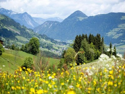 Apartment Waldfamilienaufenthalt, Triberg - Environment photo 37