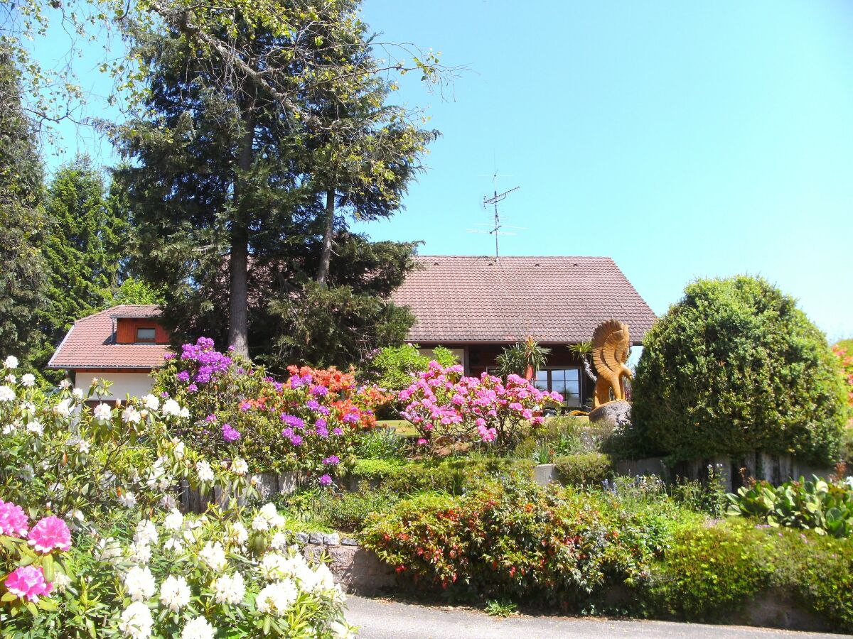 Apartment Ferienwohnung in Gütenbach - Outdoor photo 5