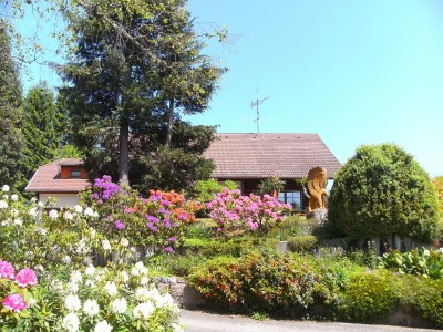 Apartment Ferienwohnung in Gütenbach - Outdoor photo 5