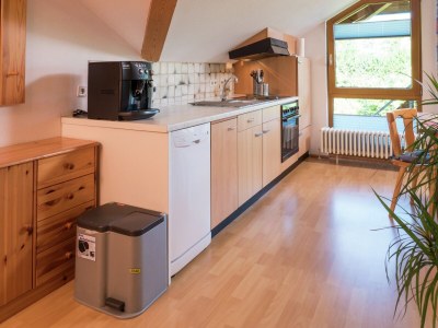 Apartment Ferienwohnung in Gütenbach - Features photo 16