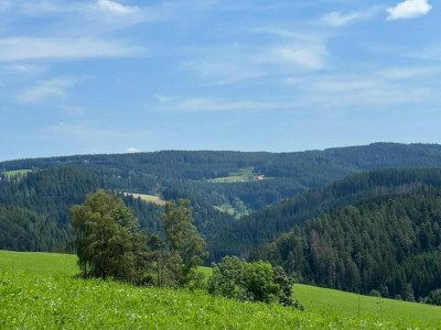 Apartment Ferienwohnung in Gütenbach - Environment photo 25