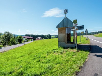 Holiday house Ferienhaus in Herrischried - Environment photo 29