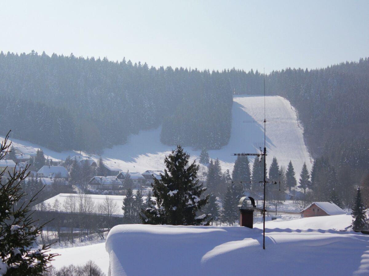 Apartment Ferienwohnung, Herrischried - Outdoor photo 5
