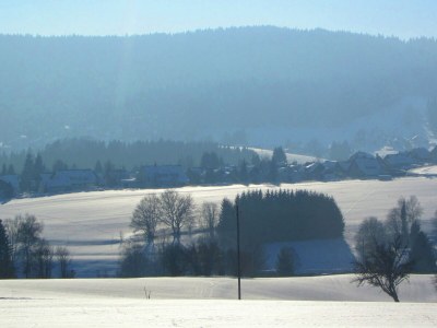 Apartment Ferienwohnung, Herrischried - Outdoor photo 4
