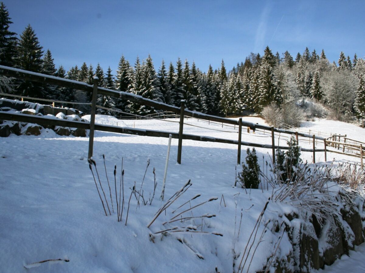 Apartment Wohnung in Dachsberg-Urberg - Outdoor photo 5