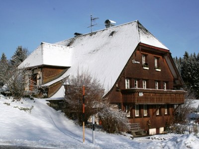 Apartment Wohnung in Dachsberg-Urberg in Southern Black Forest - Apartment