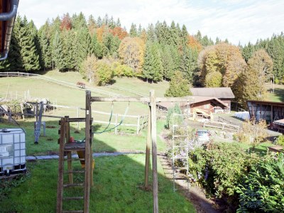 Apartment Wohnung in Dachsberg-Urberg - Outdoor photo 2