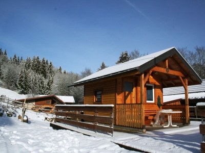 Apartment Wohnung in Dachsberg-Urberg - Outdoor photo 6