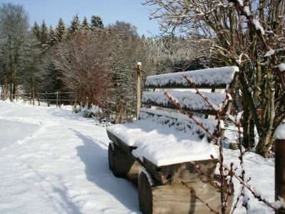 Apartment Wohnung in Dachsberg-Urberg - Environment photo 25