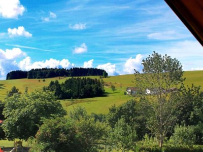 Apartment Wohnung in Dachsberg-Urberg - Environment photo 29