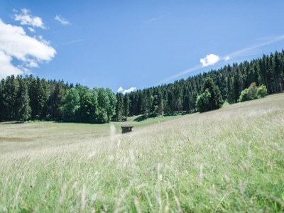 Apartment Wohnung in Dachsberg-Urberg - Environment photo 31