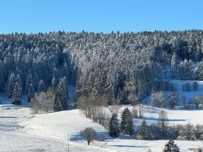 Apartment Wohnung in Dachsberg-Urberg - Environment photo 37