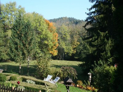 Apartment Forsthauswohnung im Schwarzwald - Outdoor photo 9