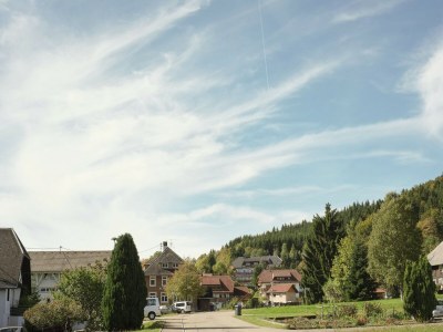 Apartment Forsthauswohnung im Schwarzwald - Environment photo 28