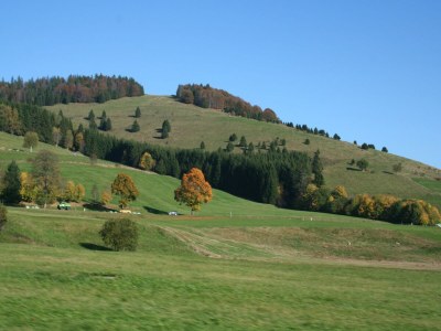 Apartment Forsthauswohnung im Schwarzwald - Environment photo 29