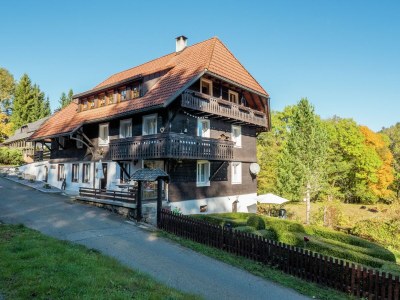 Apartment Ferienhaus in Wittenschwand - Outdoor photo 7