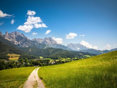 Apartment Ferienhaus in Wittenschwand - Environment photo 23