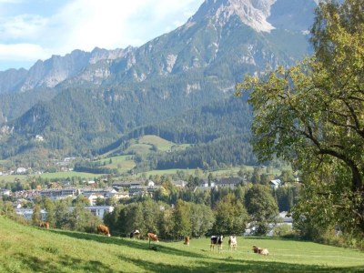 Apartment Ferienhaus in Wittenschwand - Environment photo 27