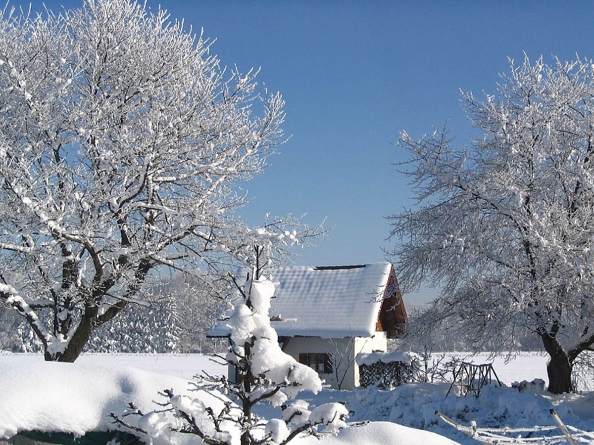 Holiday house Erholsames Ferienhaus in Feldwies
