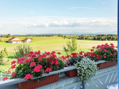 Farmhouse Ferienwohnung im Allgäu - Outdoor photo 10