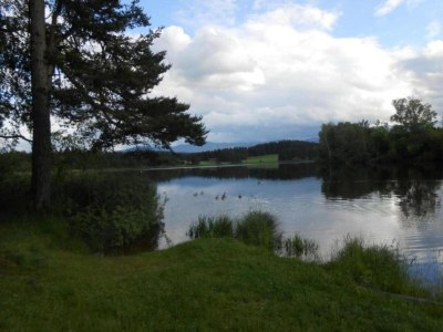 Farmhouse Ferienwohnung im Allgäu - Environment photo 38