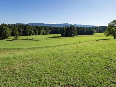 Farmhouse Alpiner Aufenthalt mit Balkon in Steingaden - Environment photo 28