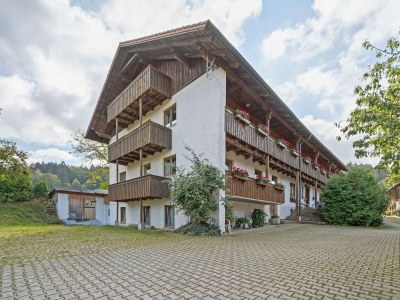 Farmhouse Wohnung in Neukirchen mit Skifahren & Pool - Outdoor photo 6