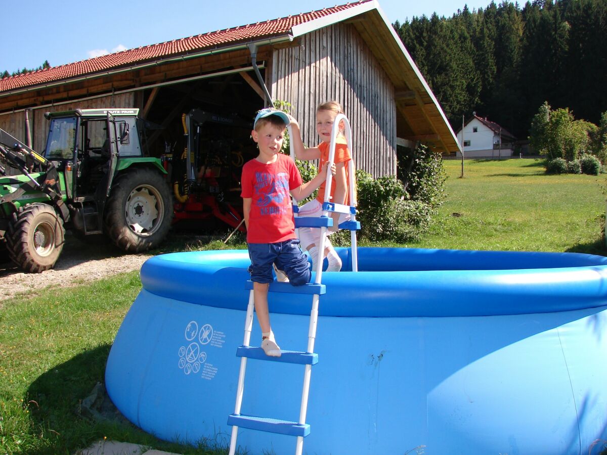 Farmhouse Bauernhof in Spandlberg am Hohen Bogen - Outdoor photo 3