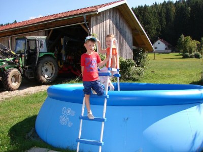 Farmhouse Bauernhof in Spandlberg am Hohen Bogen - Outdoor photo 3