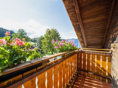 Farmhouse Bauernhof in Spandlberg am Hohen Bogen - Outdoor photo 7
