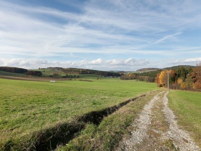 Farmhouse Bauernhof in Spandlberg am Hohen Bogen - Environment photo 32