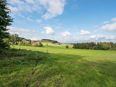 Farmhouse Bauernhof in Spandlberg am Hohen Bogen - Environment photo 33