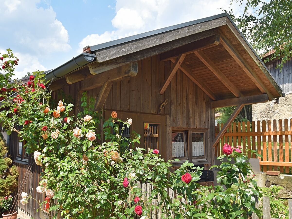 Holiday house Ferienhaus mit Garten in Waldnähe - Outdoor photo 3