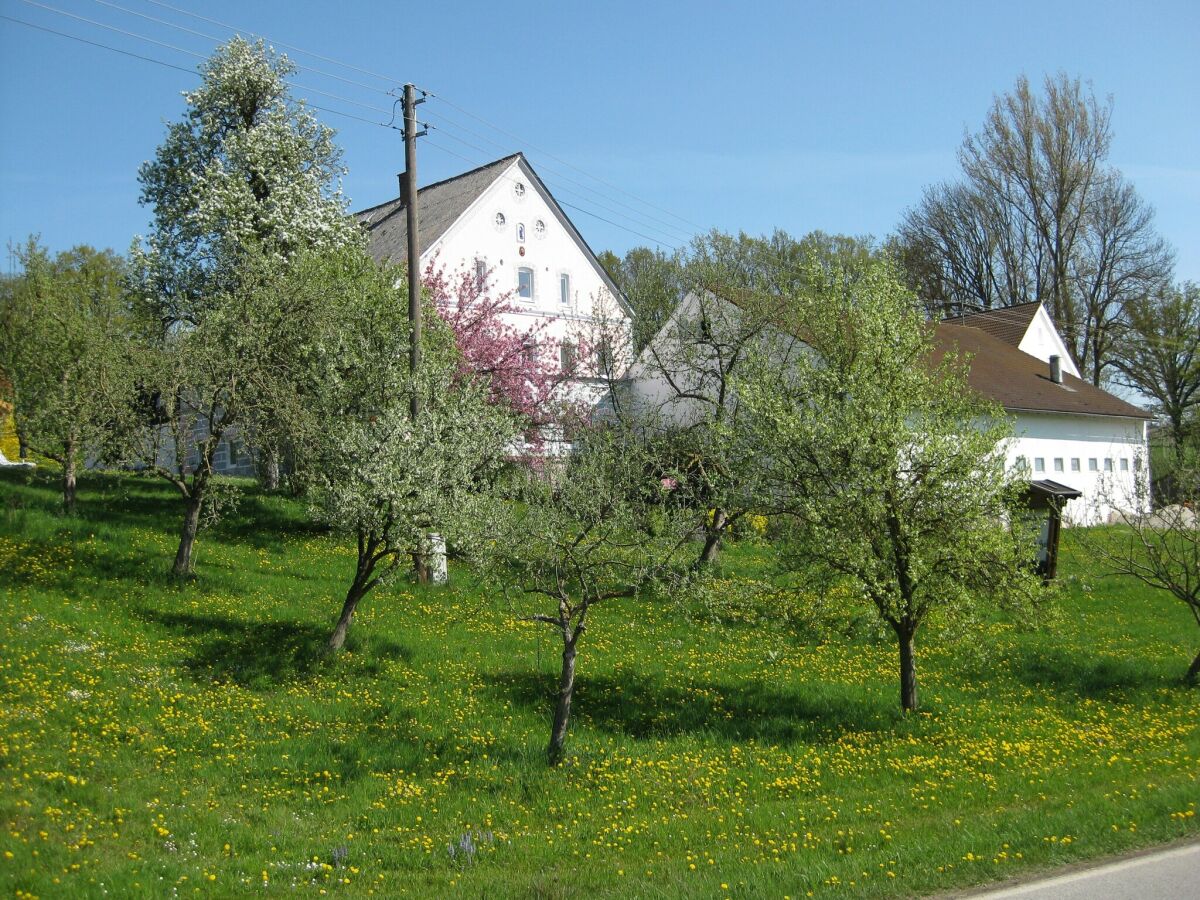 Apartment Wohnung in Rotthalmünster mit Garten - Outdoor photo 5
