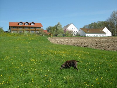 Apartment Wohnung in Rotthalmünster beim Thermendreieck - Outdoor photo 2