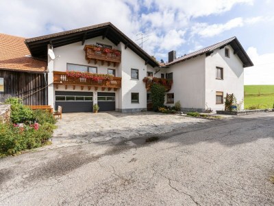 Apartment Wohnung in Waldnähe in Sonnen Bayern in Bavarian Forest - Apartment
