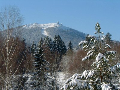 Holiday house Ferienhaus in Kollnburg mit Garten - Environment photo 35