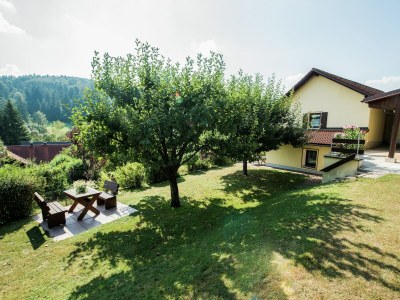 Holiday house Wohnung in Waldnähe in Plankenstein - Outdoor photo 3