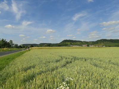 Cottage Comfort in Franconian Hills - Environment photo 15