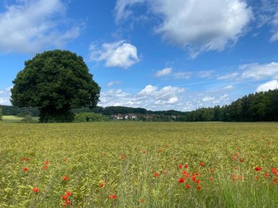 Cottage Comfort in Franconian Hills - Environment photo 22