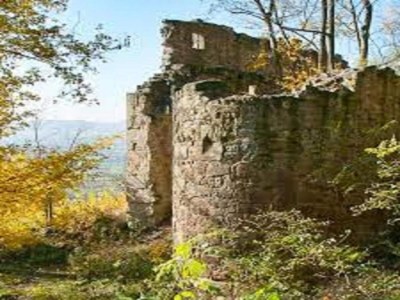 Cottage Comfort in Franconian Hills - Environment photo 31