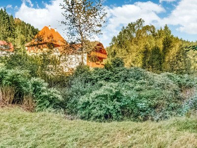 Apartment Rustikaler Kurzurlaub im Schwarzwald - Environment photo 30