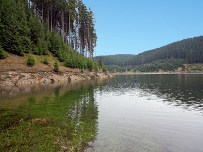Apartment Rustikaler Kurzurlaub im Schwarzwald - Environment photo 32