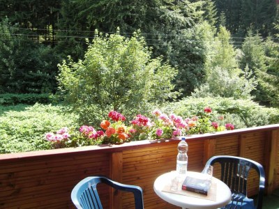 Apartment Spacious Stay Near Trails - Outdoor photo 4