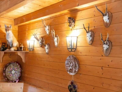 Holiday house Chalet in Hinterrod Thüringen mit Sauna - Outdoor photo 36