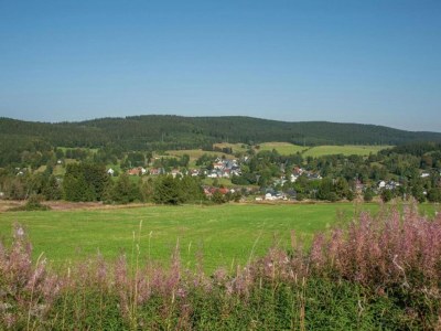 Holiday house Friedlicher Waldurlaub in Altenfeld - Environment photo 31