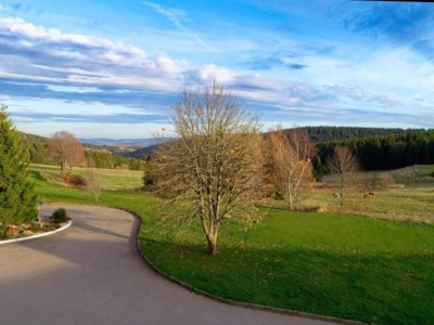Holiday house Friedlicher Waldurlaub in Altenfeld - Environment photo 42