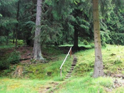 Holiday house Friedlicher Waldurlaub in Altenfeld - Environment photo 46