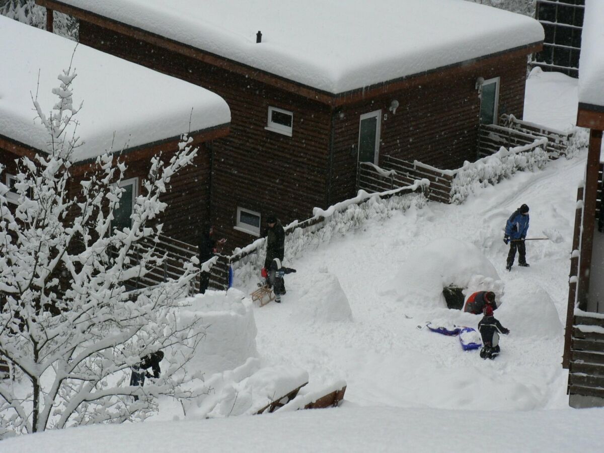 Holiday house Ferienhaus im Thüringer Wald - Features photo 5